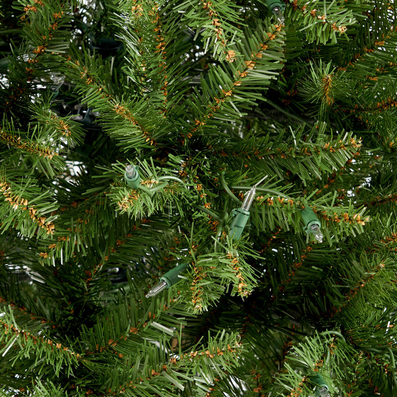 The Holiday Aisle® Lewisville Lighted Christmas Tree & Reviews Wayfair